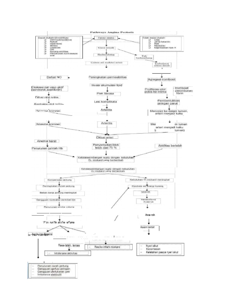 PDF Angina Pectoris Pathway PDF