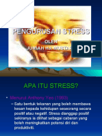 Penguruan Stress Baru