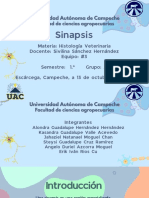 Histología - Sinapsis