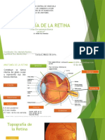 Seminario de Retina