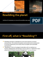 Rewilding The Planet