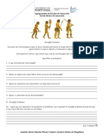 B - Paleolítico 1 - A Evolução Do Homem