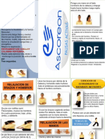 Folleto Pausas Activas