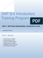 SAP S4 HANA - CLients - Upgrades - Day 9