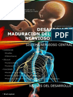 Desarrollo y Maduracion Del Sistema Nervioso Central