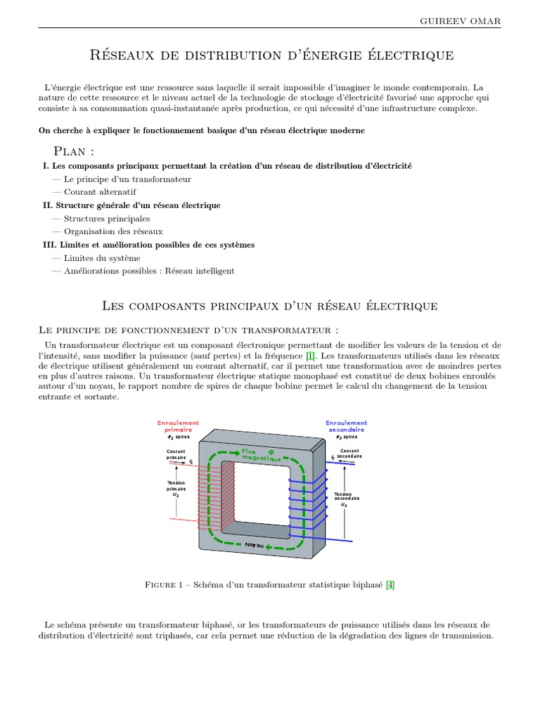Exemple de projet en enseignement scientifique (Réseaux de distribution