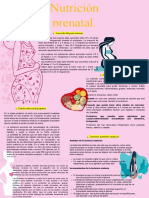 Infografia C. Perinatal