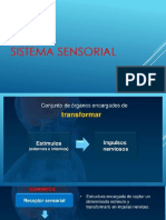 SISTEMA_SENSORIAL