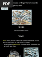 Aula 13_peixes