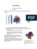 Proteínas de Membrana