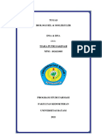 Makalah DNA & RNA