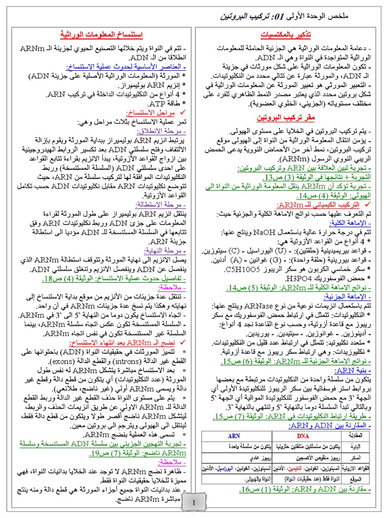 Arnm adn adn arn arn atp adn adn pdf molecular biophysics physiology