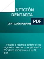 Denticion Permanente