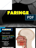 7.5 Faringe