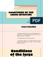 Condition of The Large Intestine