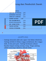 Jantung dan Pembuluh Darah
