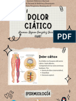 EXPOSICIÓN TRAUMATOLOGÍA Dolor Ciatico Homeopatía