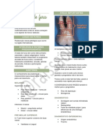 Lesão de furca: etiologia, anatomia, diagnóstico e tratamentos