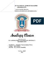 Informe O1 El Laboratorio Clinico 2019-118036