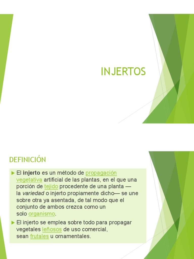INJERTOS | PDF | Injerto | Horticultura