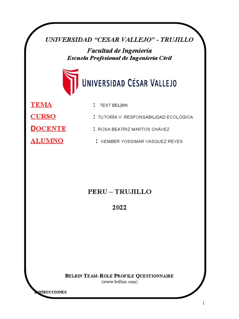 Test Belbin | PDF