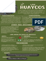 Infografía de Los Huaycos