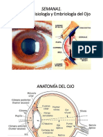 Semana 1. Anatomia de Ojos