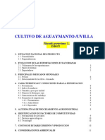 Cultivo y exportación de aguaymanto/uvilla en Ecuador