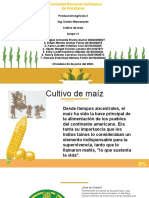 Grupo1 - Cultivo Del Maiz
