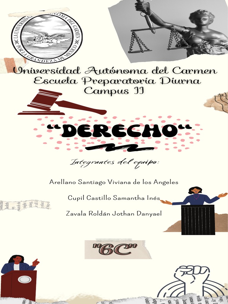 Infografía de Derecho | PDF | Ley Pública | Gobernancia