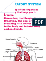 Power Point Breathing System