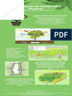 Estructuras en Autótrofos