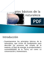 Principios Básicos de La Naturaleza