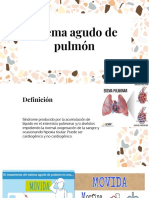 Edema Agudo de Pulmon