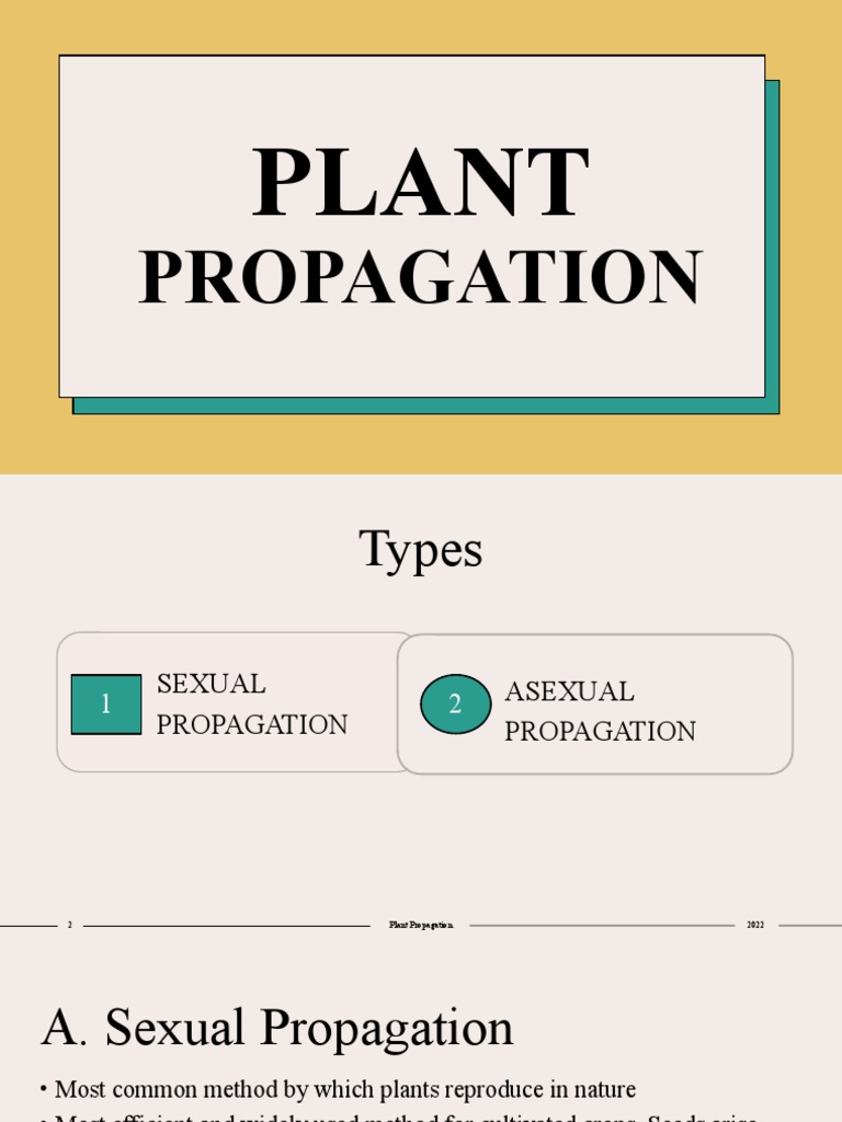 Plant Propagation | PDF | Grafting | Seed