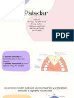 Paladar 