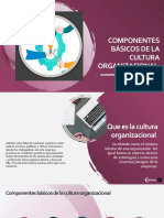 Cultura Organizacional