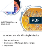 Introduccion A La Micologia Rev LP 07.03.2020