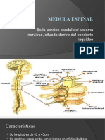 Neurotransmisores 2