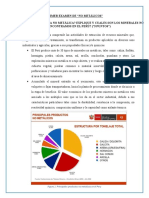 Primer Examen de No Metálicos