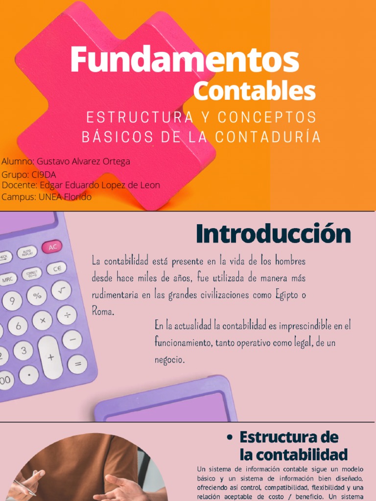 Fundamentos Contables | PDF
