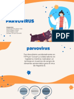 Expo - Parvovirus Virologia