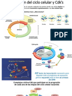 Material Biol Mol Primer Parcial