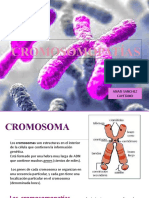 Cromosomopatias
