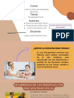 Discapacidad Visual