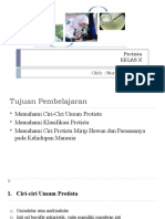 KLASIFIKASI PROTISTA