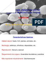 Grupos Microbianos de Importancia Biotecnologica-Parte 1