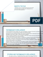 Nitrogen Cycle