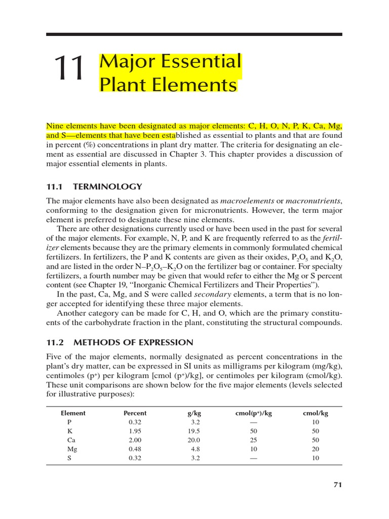 Plant | PDF | Soil | Plant Nutrition