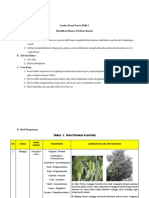 Identifikasi Plantae di Sekitar Rumah